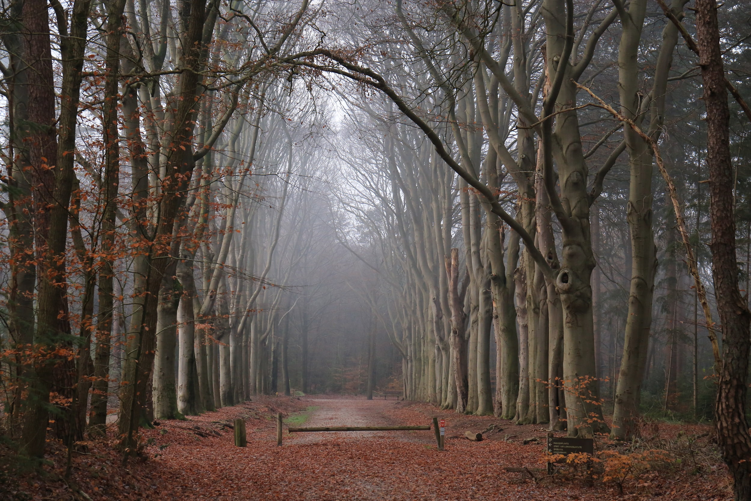 stilteretraite kleine hoeve rust in het bos retraite op maat