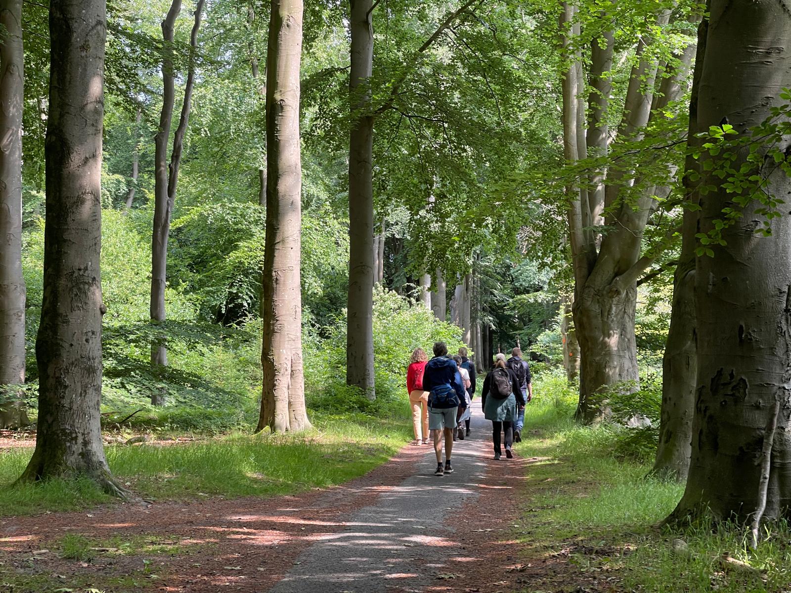 stilteretraite kleine hoeve rust in het bos
